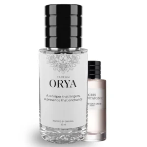 Dupe Christian Dior Gris Montaigne Maroc
