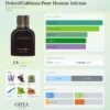Dupe Dolce & Gabbana Pour Homme Intenzso Maroc