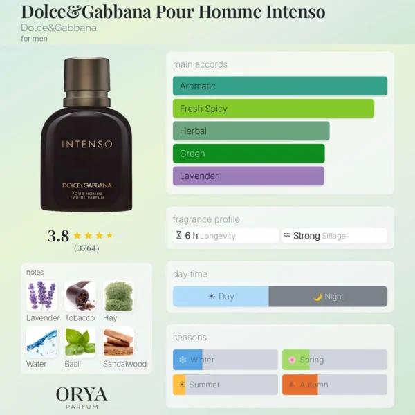Dupe Dolce & Gabbana Pour Homme Intenzso Maroc