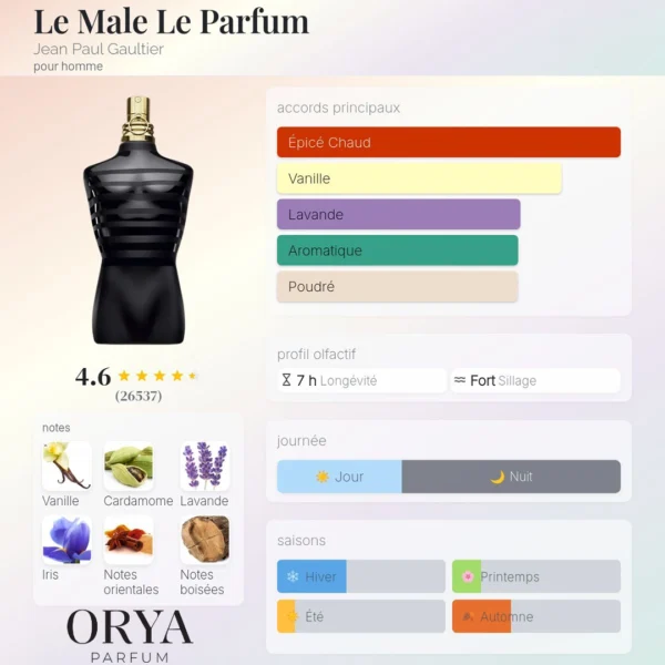 Dupe Le Male Le Parfum Maroc